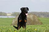 BEAUCERON 592